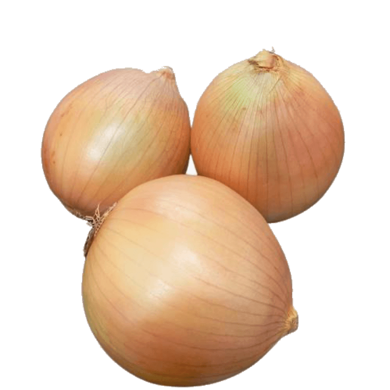 Cebola Branca